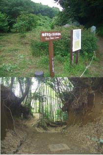 小野路