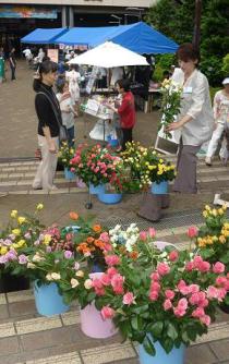 20110626ばら販売の様子