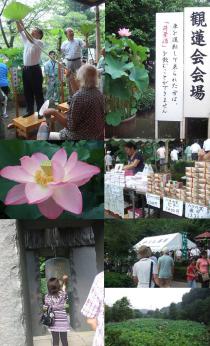 8月1日観蓮会の様子